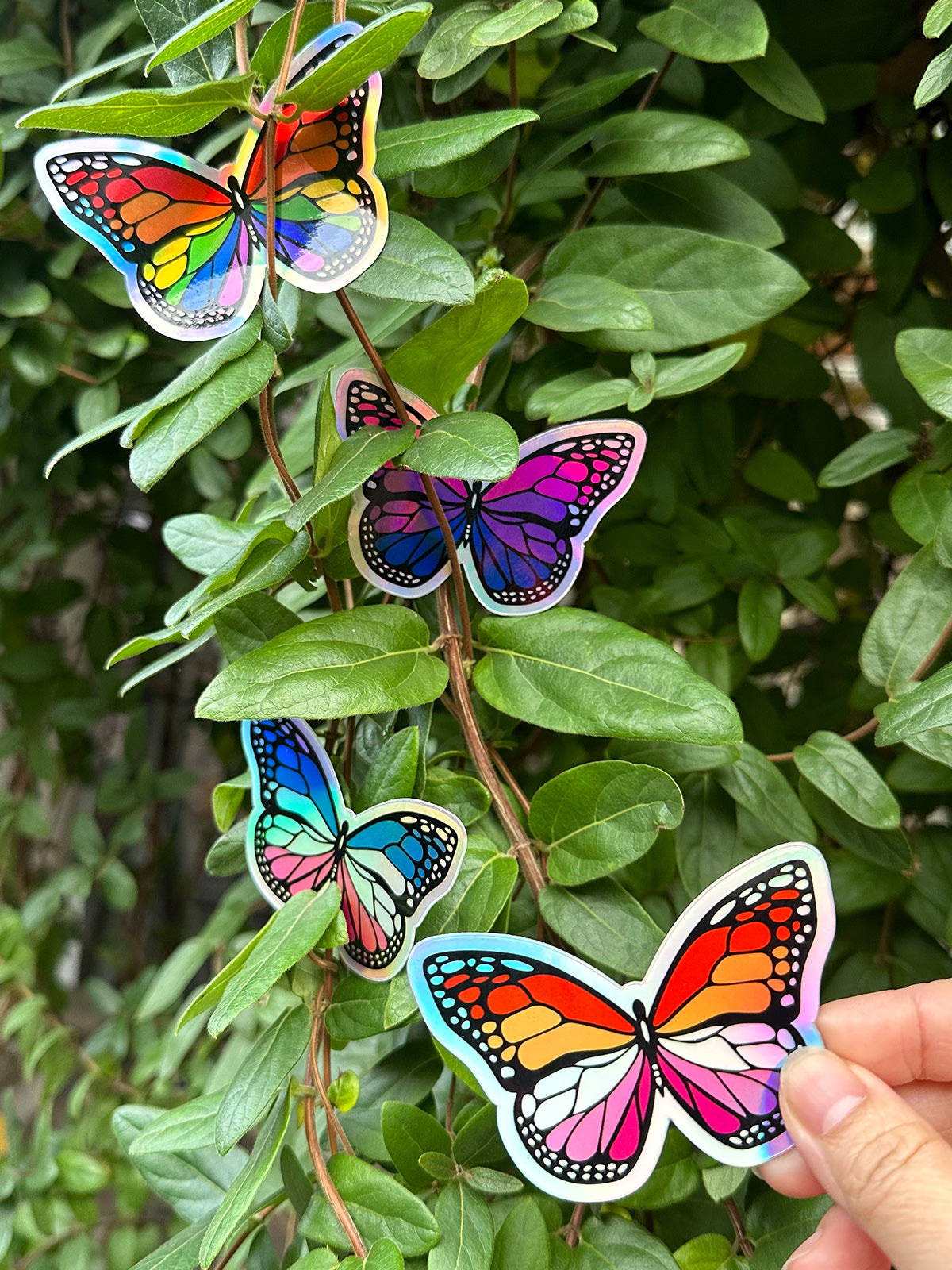 Butterfly Stickers